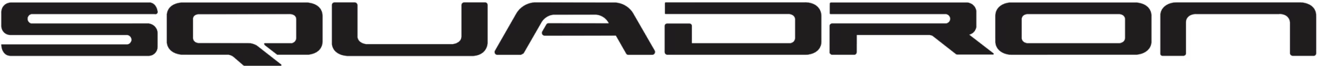 Squadron logo black text